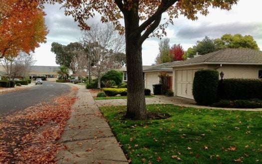 123 Louise Ln