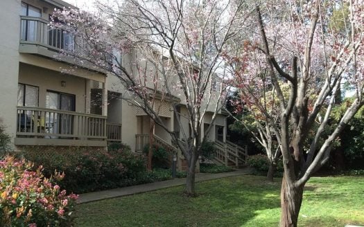 3720 Miramesa Ct APT 115